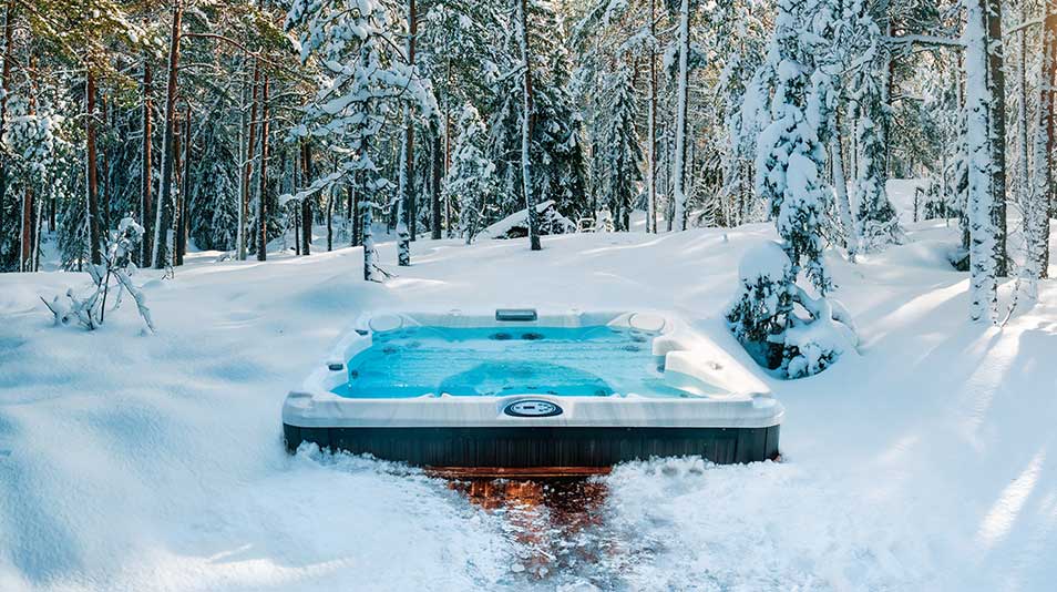 Cold Water Therapy and Healthy Aging: What the Science Actually Says